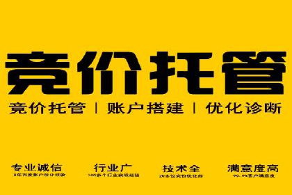 提升网站流量：SEO在百度推广的实战案例